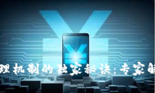 揭开区块链治理机制的独家秘诀：专家解读与实践分析