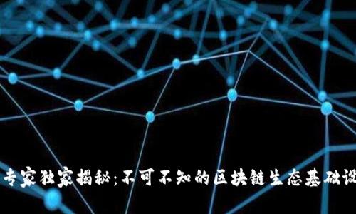 区块链专家独家揭秘：不可不知的区块链生态基础设施秘诀