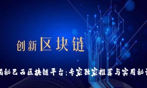 揭秘巴西区块链平台：专家独家推荐与实用秘诀