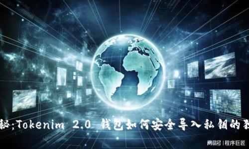 专家揭秘：Tokenim 2.0 钱包如何安全导入私钥的独家秘诀
