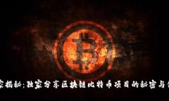 专家揭秘：独家分享区块链比特币项目的秘密与