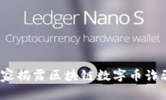 专家揭秘：独家揭露区块链数字币诈骗的五大秘