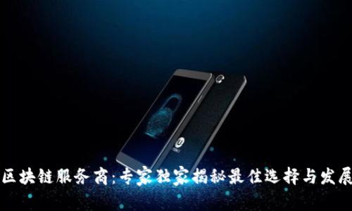 四川区块链服务商：专家独家揭秘最佳选择与发展秘诀