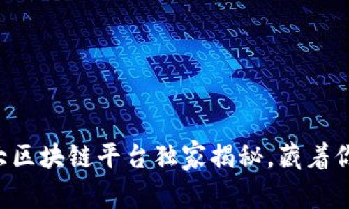 专家推荐的五大区块链平台独家揭秘，藏着你不知道的秘诀！