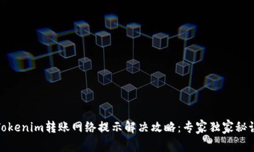 Tokenim转账网络提示解决攻略：专家独家秘诀