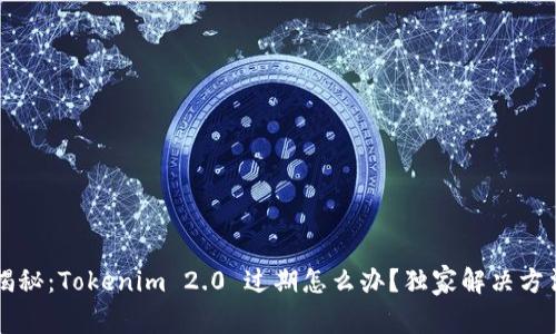 专家揭秘：Tokenim 2.0 过期怎么办？独家解决方法分享