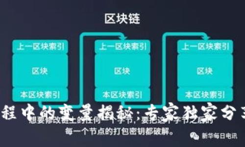 区块链编程中的变量揭秘：专家独家分享5大秘诀