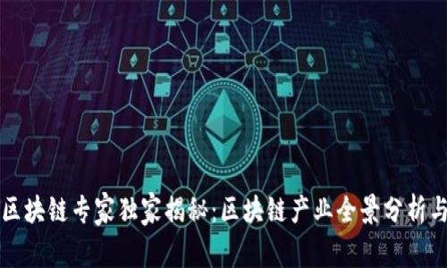 于都综合区块链专家独家揭秘：区块链产业全景分析与发展秘诀