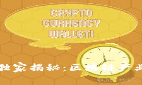 于都综合区块链专家独家揭秘：区块链产业全景分析与发展秘诀