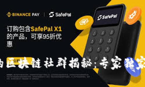 2023年最活跃的区块链社群揭秘：专家独家分享的互动秘诀