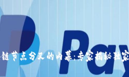 区块链节点分叉的内幕：专家揭秘独家秘诀