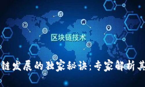 江苏区块链发展的独家秘诀：专家解析其优秀特点