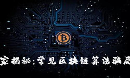 区块链专家揭秘：常见区块链算法骗局独家秘诀