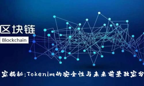 专家揭秘：Tokenim的安全性与未来前景独家分析
