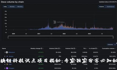 区块链科技试点项目揭秘：专家独家分享必知秘诀