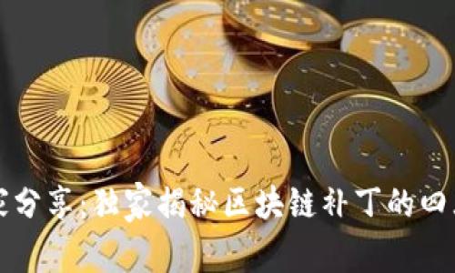 区块链技术专家分享：独家揭秘区块链补丁的四大类型及其秘诀