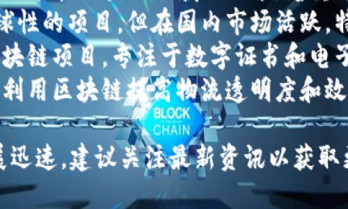 截至2023年10月，以下是一些在国内比较受到关注的区块链项目名称：

1. **链家网** - 主要应用于房地产领域，通过区块链技术提升交易透明度。
2. **阿里巴巴的AntChain** - 阿里巴巴推出的区块链平台，致力于数字资产的管理与交易。
3. **腾讯的区块链产品** - 包括用于社交、金融和供应链管理的多个区块链应用。
4. **小米的区块链技术** - 小米在区块链领域的探索，着重于物联网和数字身份技术。
5. **Filecoin** - 虽然是全球性的项目，但在国内市场活跃，特别是在数据存储上。
6. **国证链** - 国家级的区块链项目，专注于数字证书和电子合同的应用。
7. **京东的区块链物流** - 利用区块链提高物流透明度和效率的项目。

请注意，区块链技术和项目发展迅速，建议关注最新资讯以获取更准确的信息。