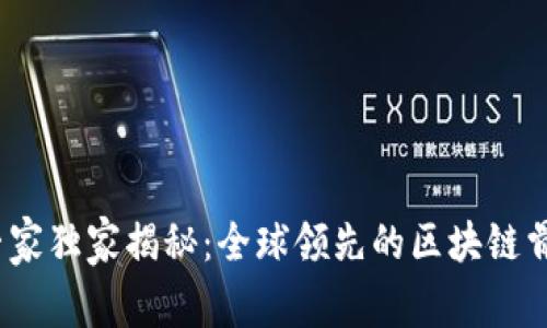 区块链专家独家揭秘：全球领先的区块链骨干企业 