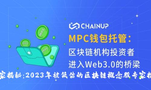 独家揭秘：2023年被低估的区块链概念股专家推荐
