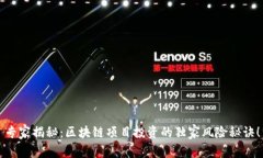 专家揭秘：区块链项目投资的独家风险秘诀！