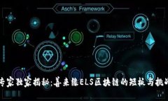 专家独家揭秘：善来缘ELS区块链的短板与挑战