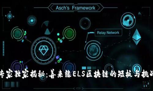 专家独家揭秘：善来缘ELS区块链的短板与挑战