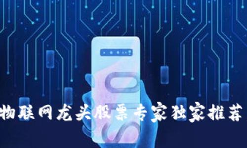 2024年区块链物联网龙头股票专家独家推荐，揭秘投资秘诀！