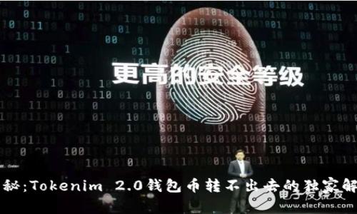 专家揭秘：Tokenim 2.0钱包币转不出去的独家解决秘诀