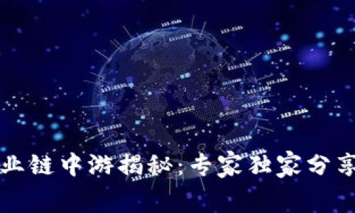 区块链产业链中游揭秘：专家独家分享内幕秘诀