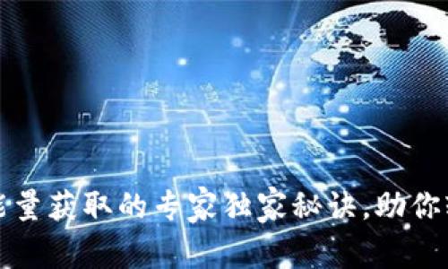 TP钱包能量获取的专家独家秘诀，助你轻松提升