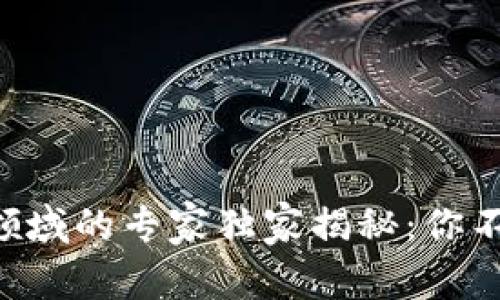 区块链在支付领域的专家独家揭秘：你不可不知的秘密！