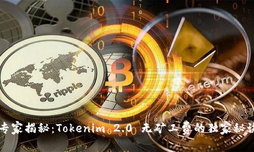 专家揭秘：Tokenim 2.0 无矿工费的独家秘诀
