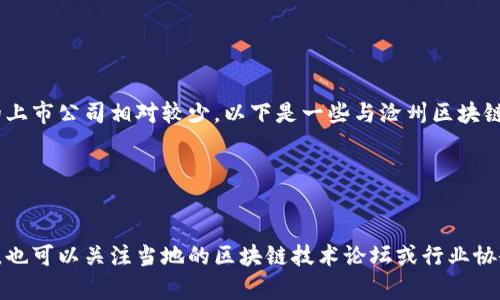 沧州是中国河北省的一个地级市，近年来随着区块链技术的不断发展，很多公司开始落户于此。然而，沧州在区块链领域整体的上市公司相对较少。以下是一些与沧州区块链相关的公司信息，供参考：

1. **光辉科技**（可能涉及区块链业务的技术性公司，但是否上市需具体查证）。
2. **河北中大科技**（部分报道提到其在区块链方面的探索）。

对于沧州的具体区块链公司上市情况，建议通过相关证券交易所或金融信息平台进行详细查询，了解最新的信息和动态。同时，也可以关注当地的区块链技术论坛或行业协会，它们可能会有更多的行业动态和公司信息。如果需要更详细的信息或具体的上市情况，建议咨询专业的财经信息服务平台。