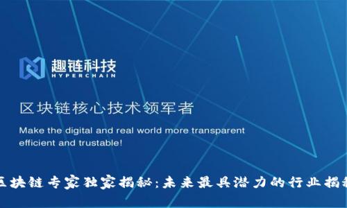 区块链专家独家揭秘：未来最具潜力的行业揭秘