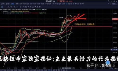区块链专家独家揭秘：未来最具潜力的行业揭秘