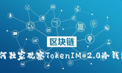 专家揭秘：如何独家观察TokenIM 2.0冷钱包余额的秘诀