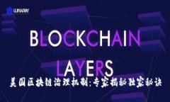 美国区块链治理机制：专家揭秘独家秘诀