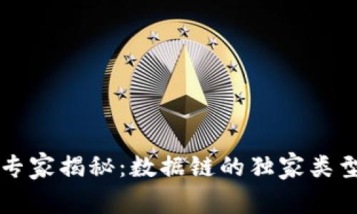 区块链专家揭秘：数据链的独家类型与秘诀