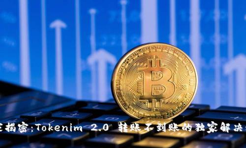 专家揭密：Tokenim 2.0 转账不到账的独家解决秘诀