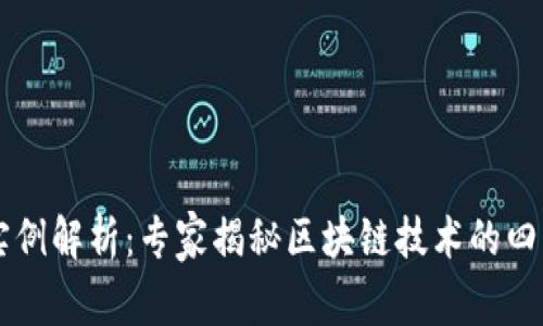 国内区块链实例解析：专家揭秘区块链技术的四大类型及应用