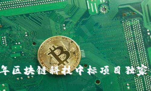 专家揭秘：2023年区块链科技中标项目独家内幕与成功秘诀！