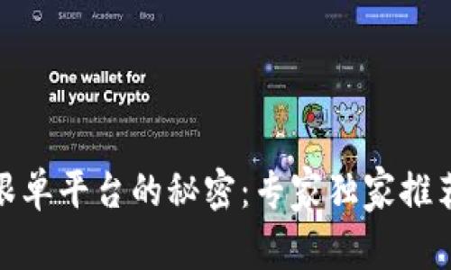 揭开区块链跟单平台的秘密：专家独家推荐的最佳选择