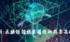 专家分析：区块链领域最有效的股票及投资秘诀