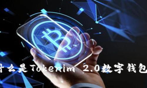 专家解读：什么是Tokenim 2.0数字钱包的独家秘诀