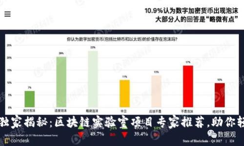 2023年独家揭秘：区块链实验室项目专家推荐，助你轻松入门！