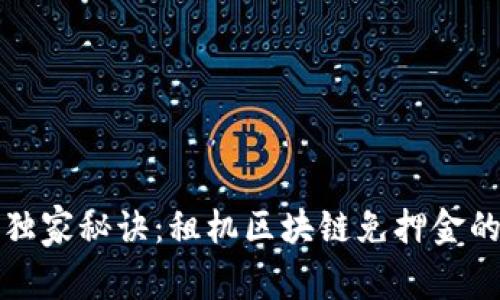 揭秘专家独家秘诀：租机区块链免押金的背后故事