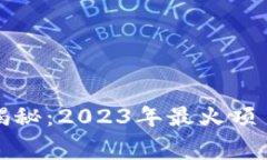 区块链专家独家揭秘：2023年最火项目内幕与发展