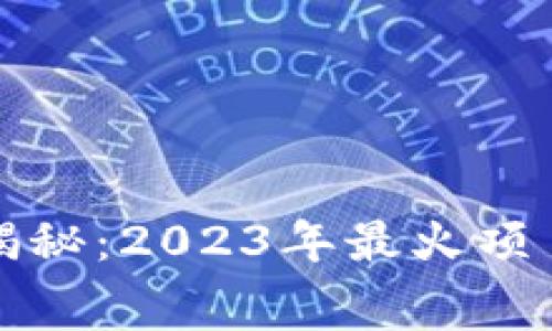 区块链专家独家揭秘：2023年最火项目内幕与发展趋势
