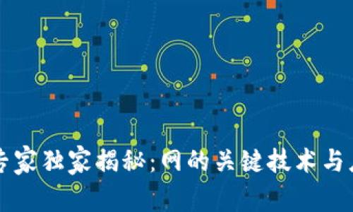 区块链专家独家揭秘：网的关键技术与应用秘诀