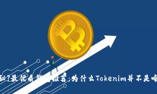 【专家揭秘】最优质钱包推荐：为什么Tokenim并不是唯一选择？